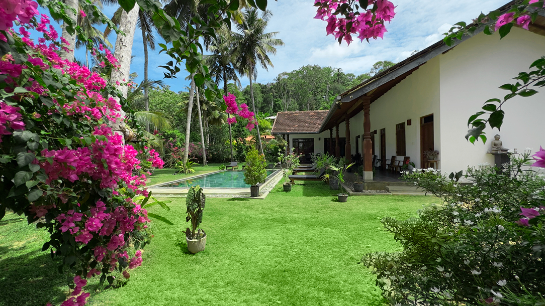 Villa Hiriketiya pool area with sunbeds and lush garden