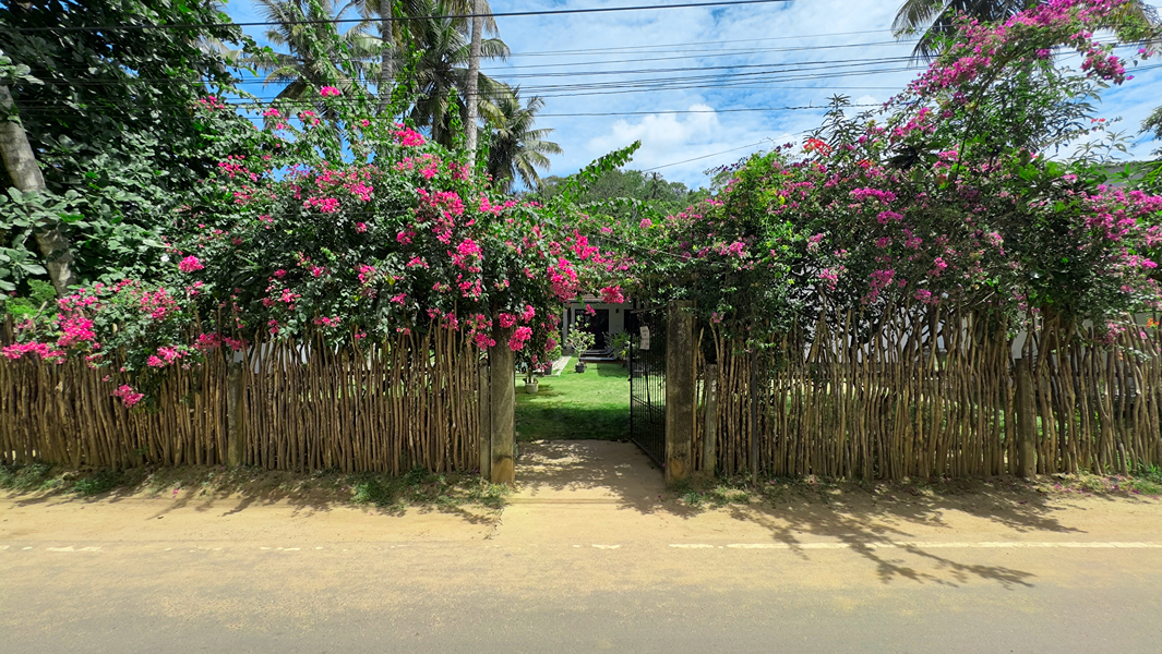 Villa Hiriketiya outdoor dining and garden area
