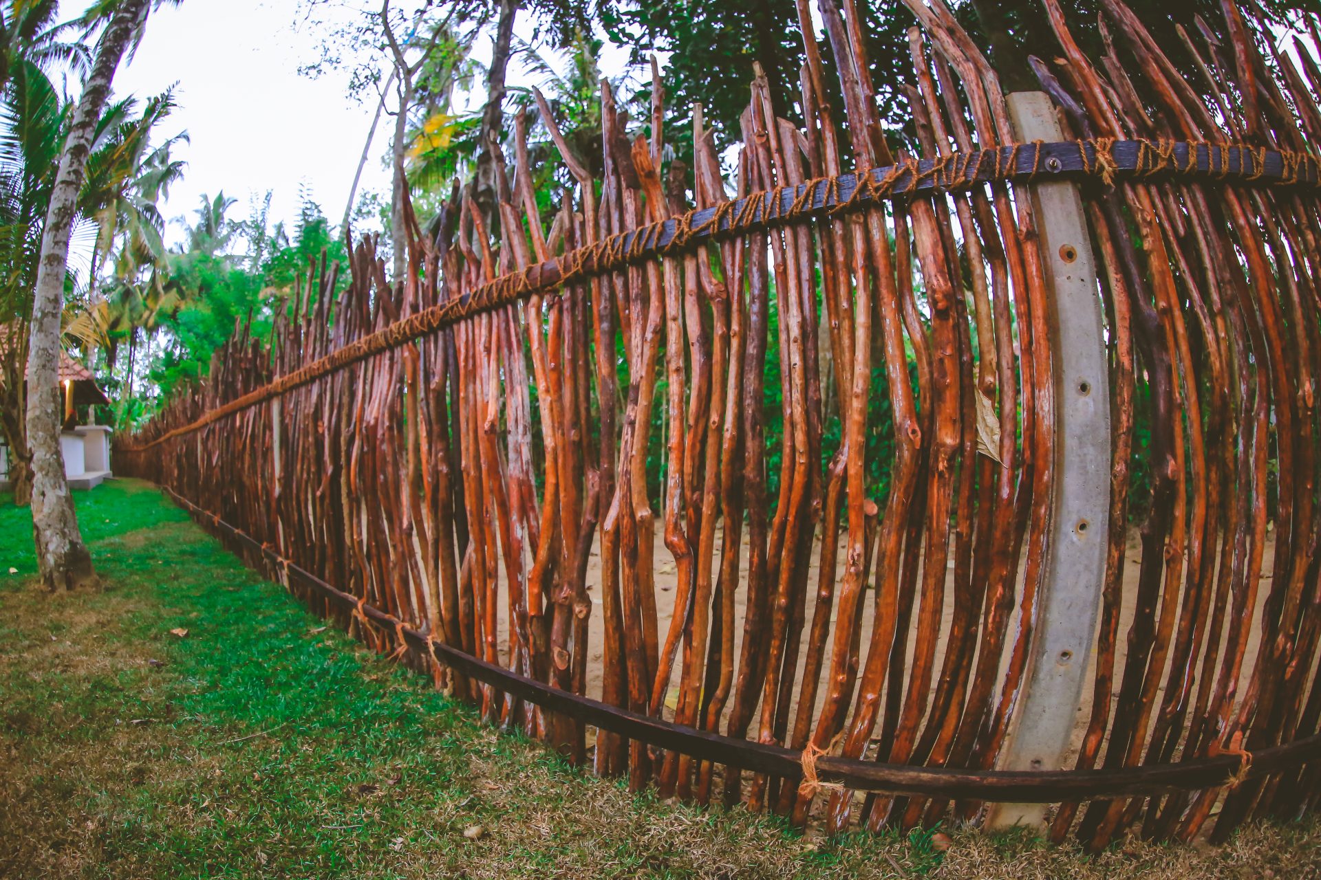 Villa Hiriketiya private swimming pool and tropical garden, Dikwella Sri Lanka